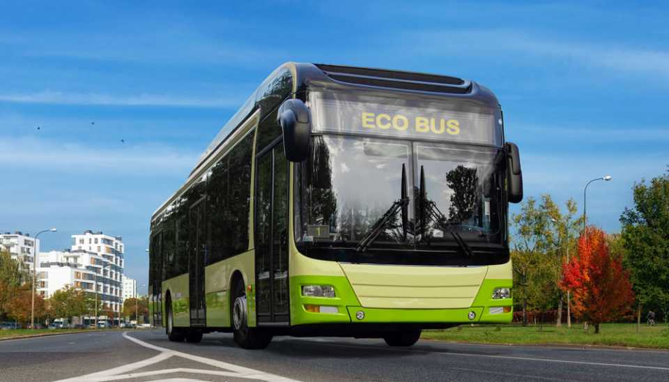 Eco bus on road.