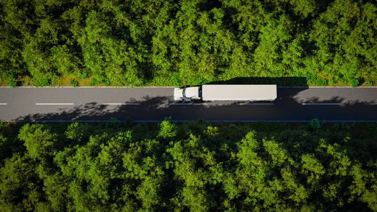 Truck on forest road
