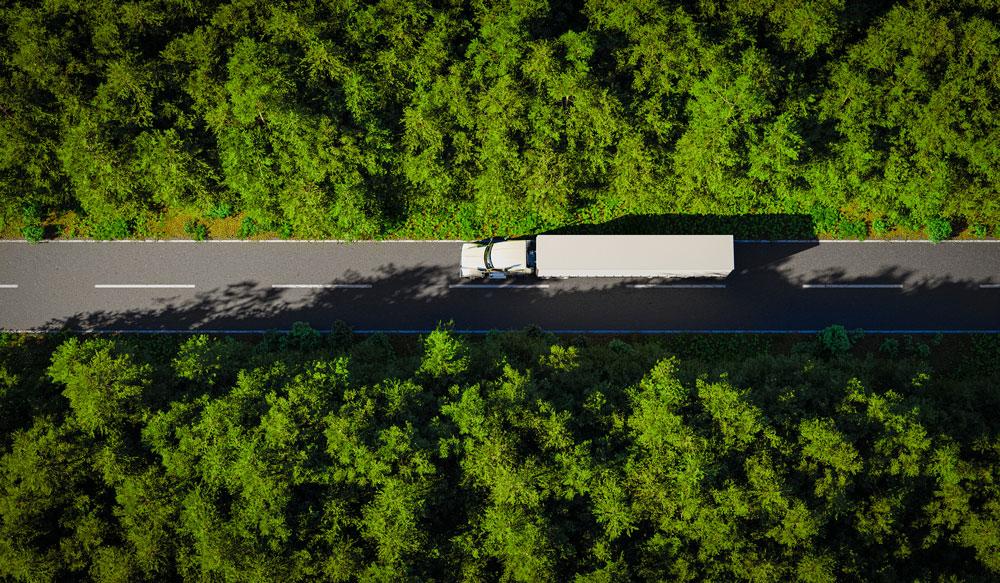 Truck on forest road